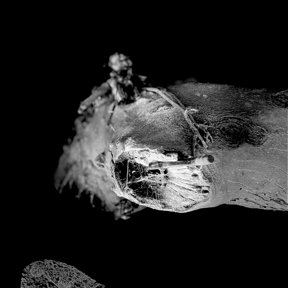 Meet your Posher, Denni - Picture 7 of 13